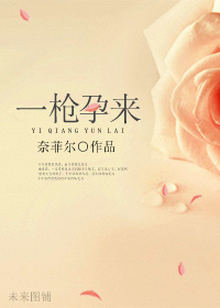 一枪孕来封面