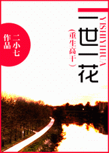 重生之一世一花封面