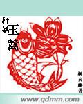 村姑玉篱封面