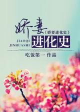 娇妻进化史封面