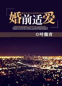 婚前适爱封面