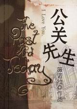 公关先生封面