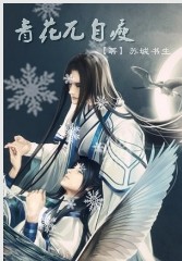 青花兀自瘦封面