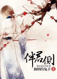 伴君侧封面