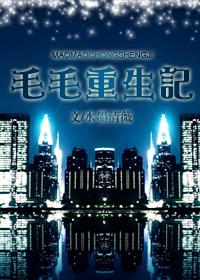 毛毛重生记封面