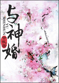 与神婚封面