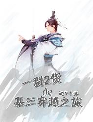 一群二货的基三穿越之旅封面