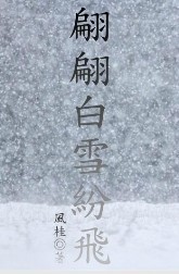 翩翩白雪纷飞封面