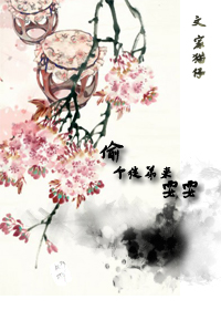 偷个徒弟来耍耍封面