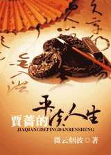 贾蔷的平淡人生封面
