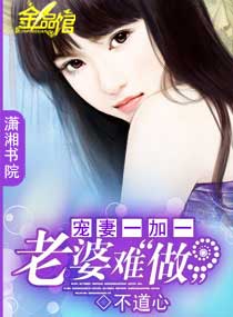 宠妻一加一:老婆难做封面