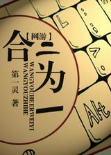 网游之合二为一封面