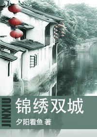 锦绣双城封面
