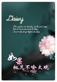 如果相见不会太晚封面