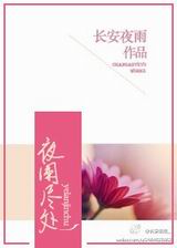 夜阑尽处封面