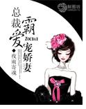 总裁霸爱宠娇妻封面