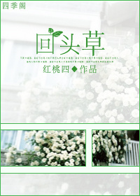 回头草封面