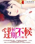 首长过期不候封面