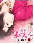盛爱第一夫人封面