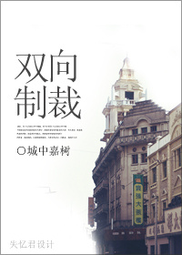 双向制裁封面