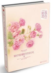 爱你是最好的时光封面