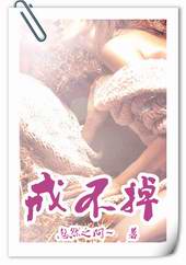戒不掉封面