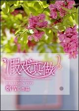 假戏真做封面