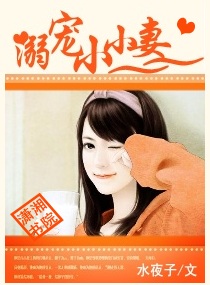 溺宠小小妻封面
