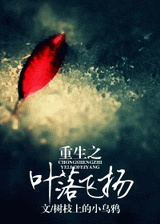 重生之叶落飞扬封面