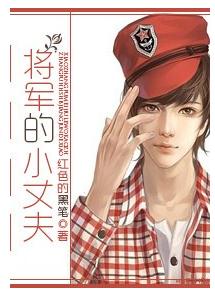 将军的小丈夫封面