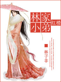 红楼之林家小弟封面