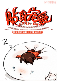 贴身宠爱封面