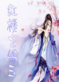 红楼之锦玉封面