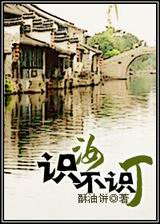 识汝不识丁封面