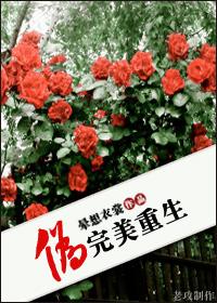 伪完美重生封面