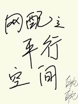网配之平行空间封面