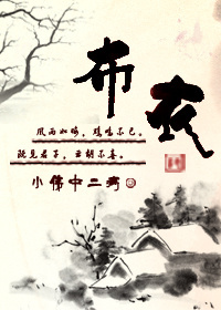 布衣封面