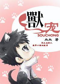 兽宠封面