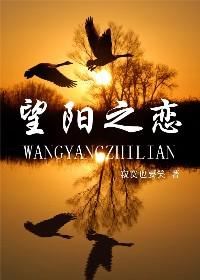 望阳之恋封面