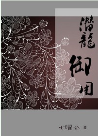 潜龙御用封面