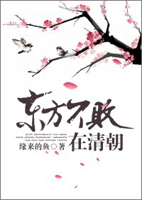 东方不败在清朝封面