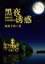 重生之黑夜诱惑封面