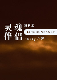 hp之灵魂伴侣封面