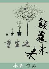 重生之颠覆未来封面