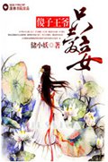 傻子王爷只爱妾 傻子王爷只爱妾