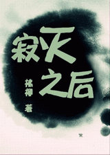 寂灭之后封面