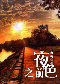 夜色之前封面