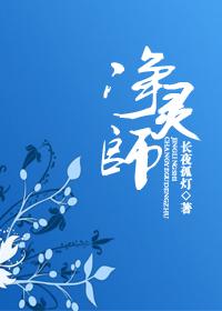 净灵师封面