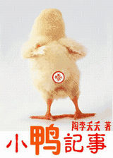 小鸭记事封面