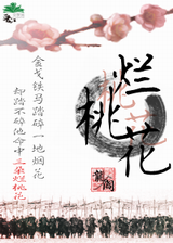 烂桃花封面